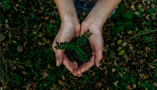 Marketing por e-mail ecológico: Reduzindo sua pegada de carbono digital