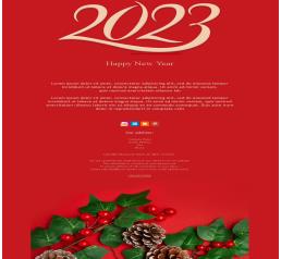 New Year 2023 medium 09