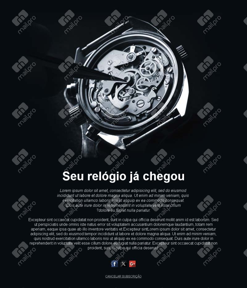 Precisão Portuguesa