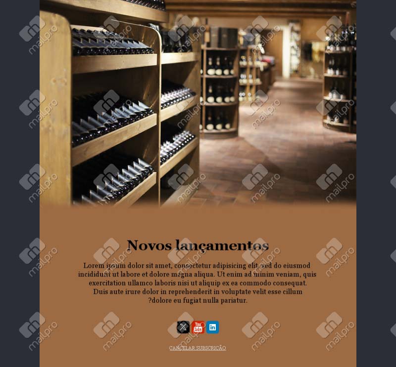Vinhos com Estilo