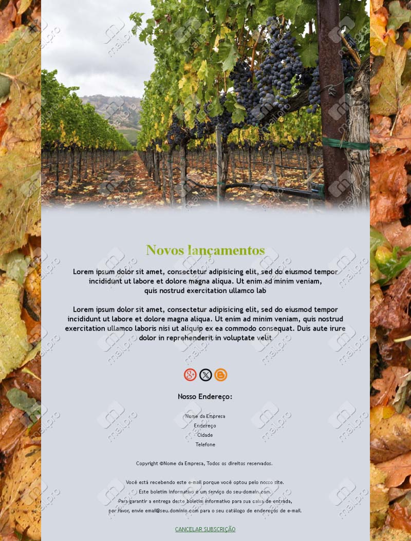 Vinhos Exclusivos