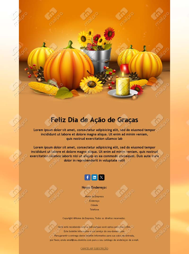 Agradecimentos