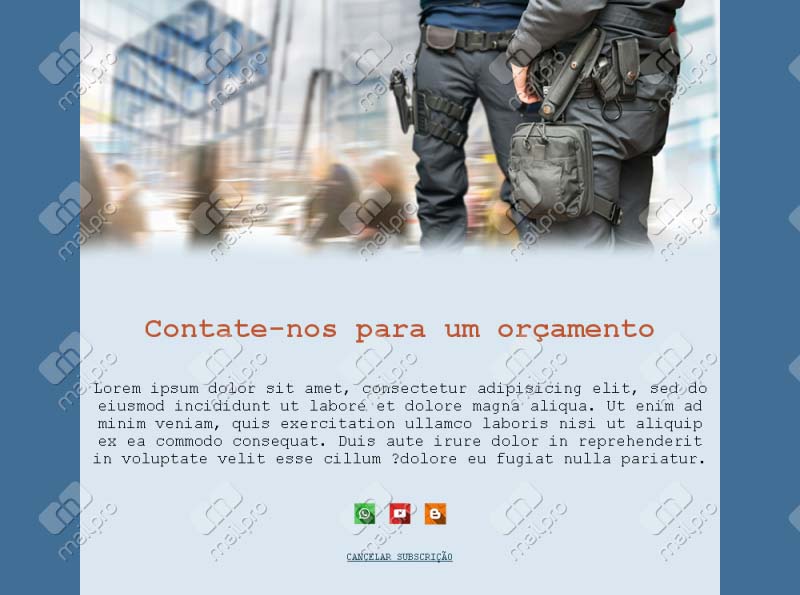 Empresas de Segurança