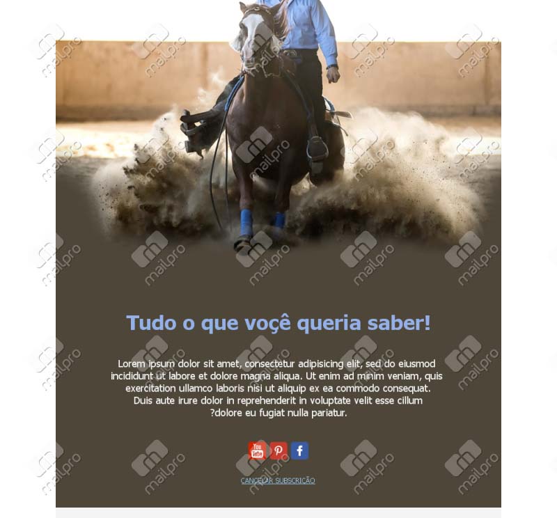 Equitação Elegante