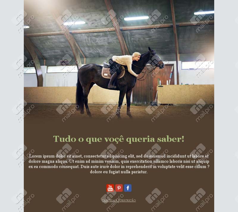 Equitação Apaixonante