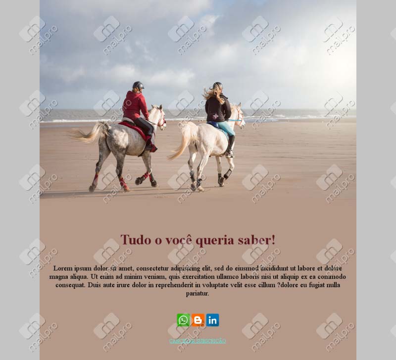 Equitação Apaixonante