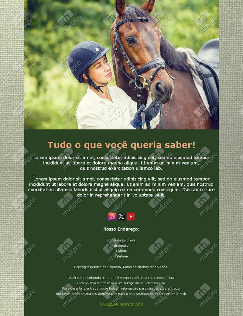 Modelos Cavalos