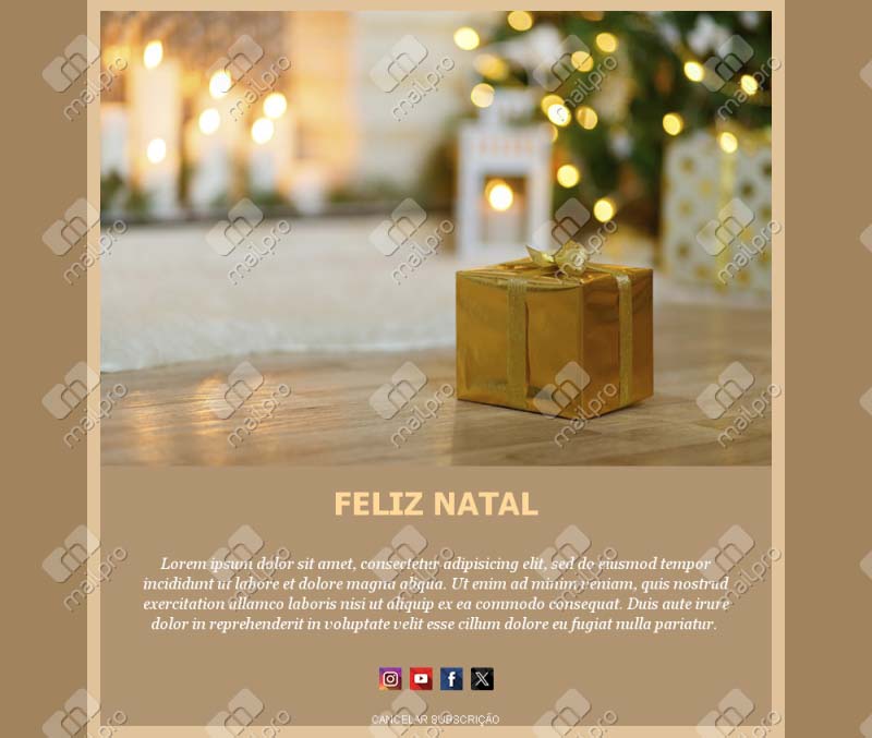 Email Natal Promoções