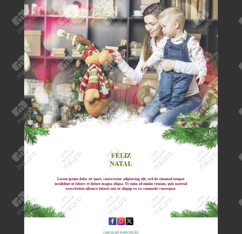 Email Natal Elegante
