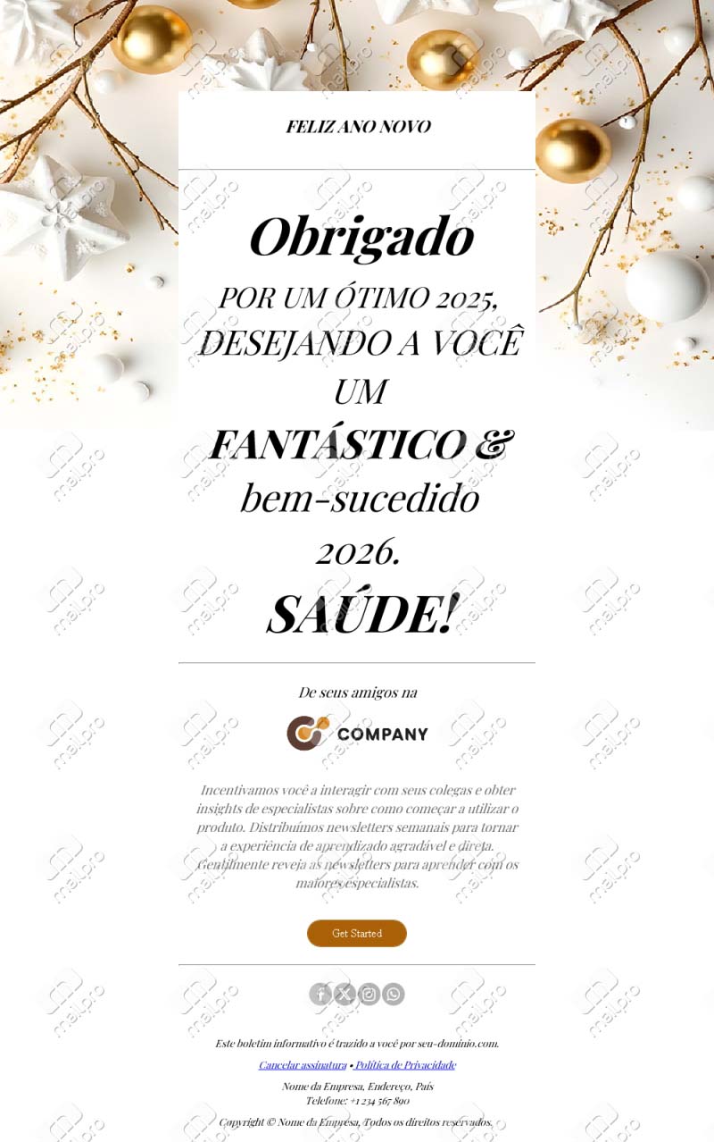 Modelo de E-mail de Ano Novo 2026