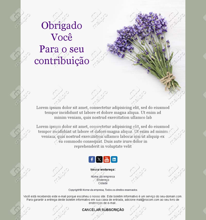 E-mails de Agradecimento Rápidos