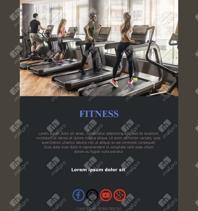 Fitness Newsletter Emails