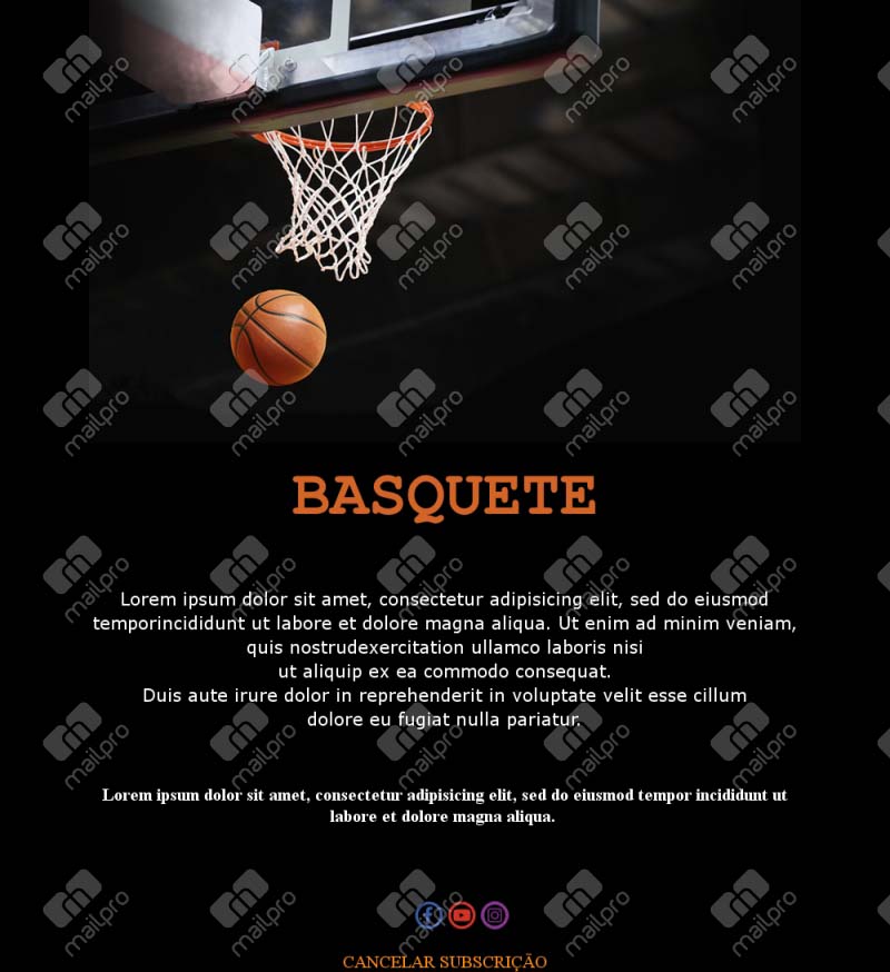 Campanha de Basquete