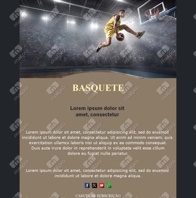 Newsletter Basquete Portugal