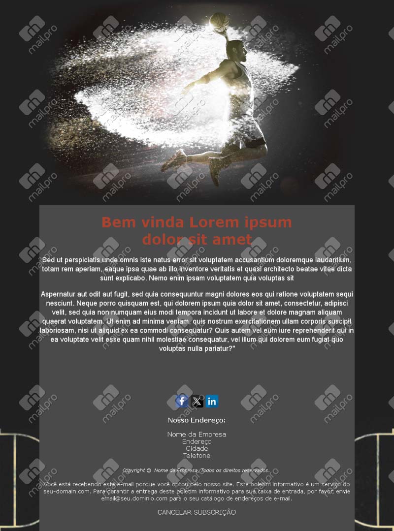 Newsletter Basquete Portugal