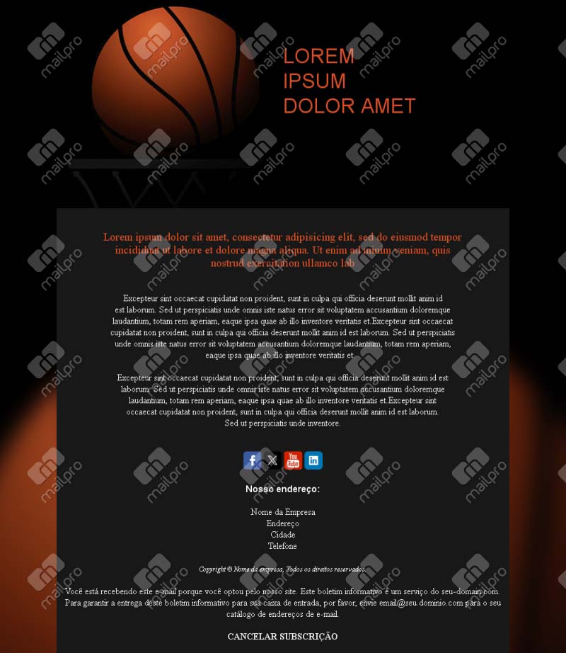 Newsletter Basketball Portugal