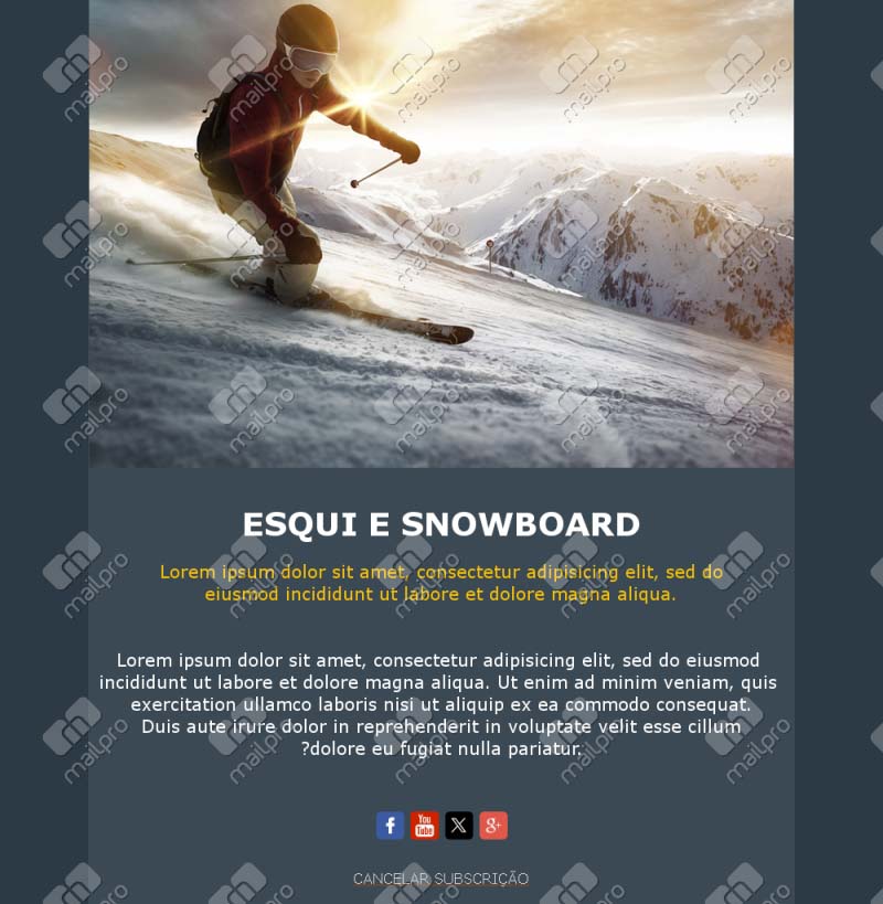 Eventos e Novidades Snowboard