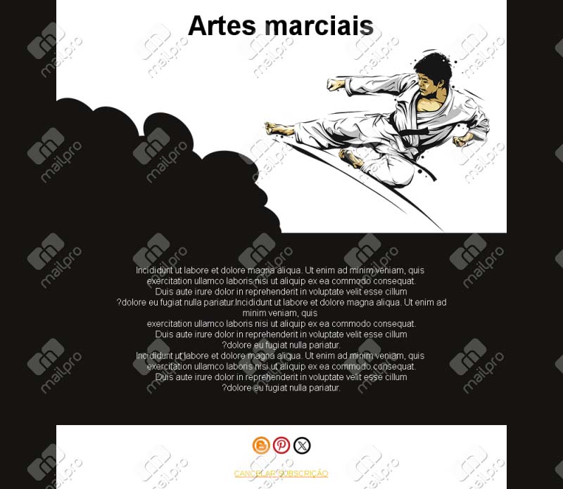 Arte Marcial Profissional
