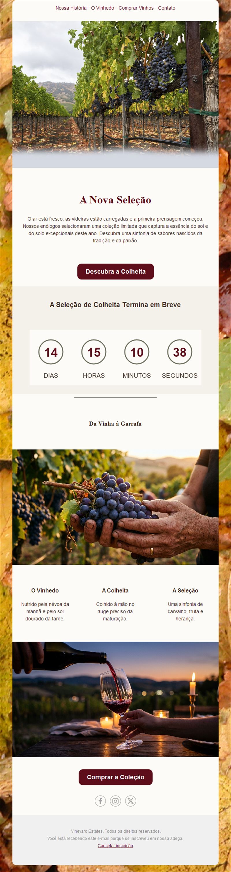 Vineyard Elegance Emails