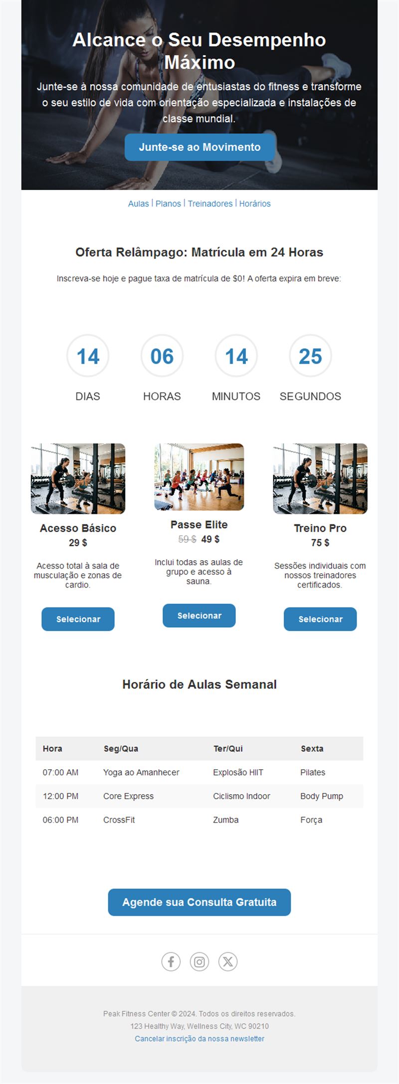 Active Lifestyle Emails