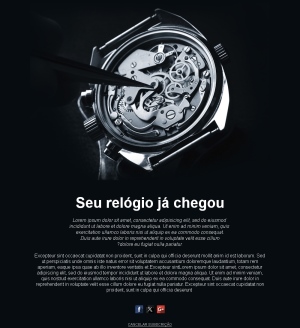 Precisão Portuguesa