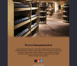 Vinhos com Estilo