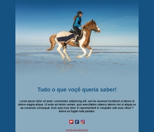 Handebol Notícias