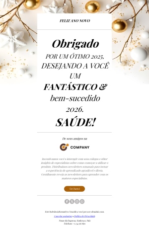 Modelo de E-mail de Ano Novo 2026