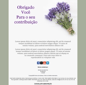 E-mails de Agradecimento Rápidos