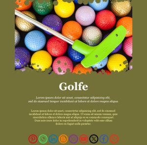 Layout de Programa de Bem-Estar