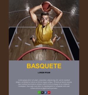 Basketball Portugal Newsletter