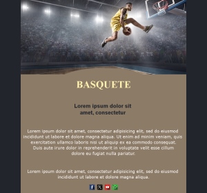 Newsletter Basquete Portugal