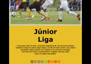 Email Equipa de Futebol
