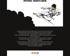 Arte Marcial Profissional