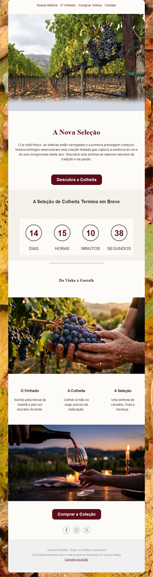 Vineyard Elegance Emails