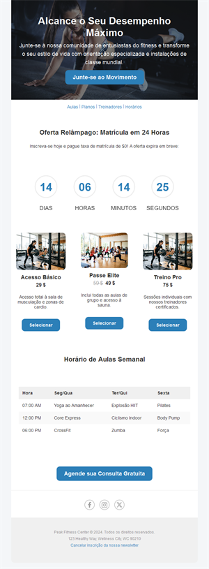 Active Lifestyle Emails